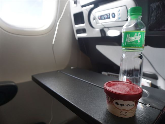 ハーゲンダッツは残さず頂きました(≧∇≦*)