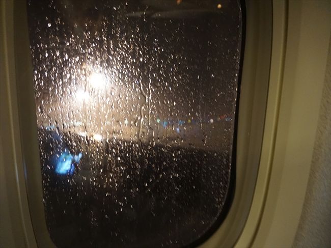 成田に無事到着！<br /><br />が、台風で揺れたーーーー！！<br />「揺れに弱い方は、シートポケットの防水袋を早めにご準備ください。<br />台風近くを飛びますので揺れます」ってアナウンス初めて聞いた。笑<br /><br />本当に１５分くれい揺れっぱなし。<br /><br />ズートピアの明るいエンディング音楽聞きつつ、<br />シートベルトをして横になりやり過ごす。<br /><br /><br />フィリピン、<br />近くて良かったな～～♪♪