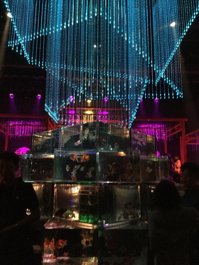 道に迷いながら、やっとたどり着けました。