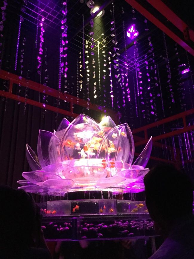 並んだ甲斐があります。