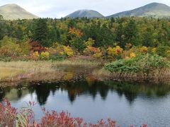 睡蓮沼です。向こうには八甲田連峰。
紅葉にはまだ早いかな？と思っていたのですが、きれいな風景が見られて感激しました！