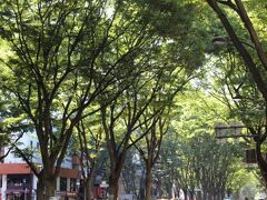 ぎえ～～～━━━━(ﾟ∀ﾟ)━━━━っ!!