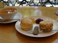 自家製ジャムつきスコーンとダージリンのセットで、遅いお昼がわり。