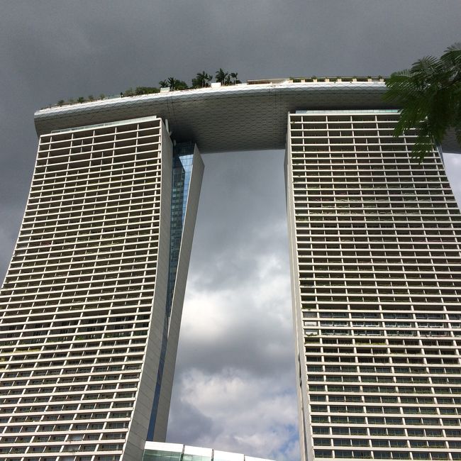 近くで見ると迫力あります