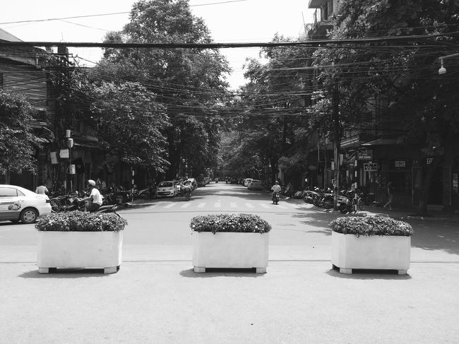 セピアカラーにしてみました。