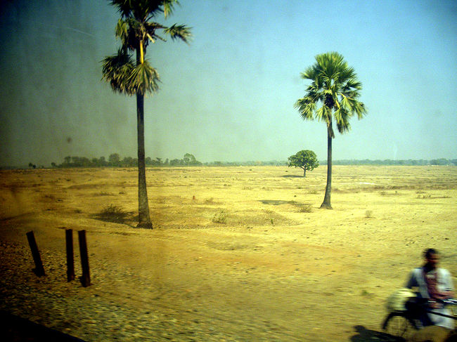 だだっ広い平原地帯を走り抜けていく。