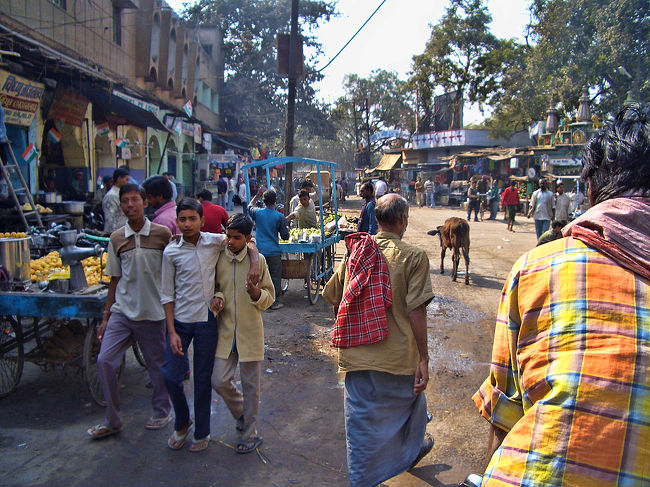 ガヤ駅構内を出るとすぐオートリキシャの男が寄ってきました。<br /><br />ブッダガヤ行きのバス停までRs10(\30)で交渉すると、OKと言うので近くに停まっていたオートリキシャに乗り込むと、男が3輪バイクタクシーの座席を一つひとつ手で差し示して、「これには6人乗れる、一人10ルピーだから60ルピー払え」、ととんでもない理屈を言い出します。<br /><br />私は英語はまったくダメだけど、だいたいそんなことを言っていたと思う。<br />苦笑いしながらノーと言ってリキシャを降り、そのやり取りをそばで聞いていたサイクルリキシャの男が10ルピーで行ってやるというのでそれに乗り換えました。ふぅ。