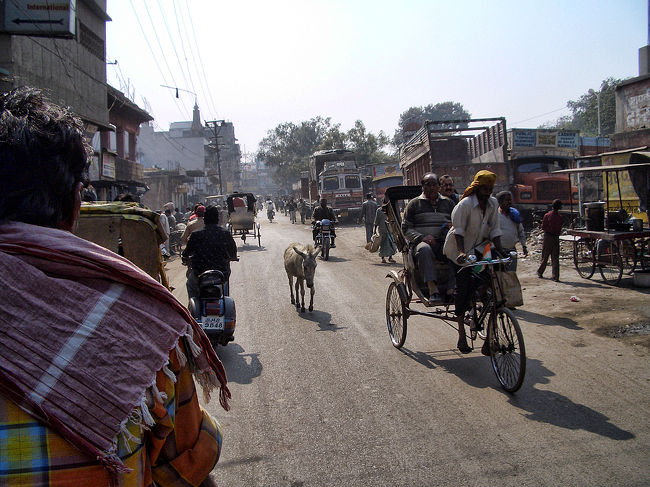 インドはどこに行ってもインドらしい光景がそこにあり、期待を裏切らない。