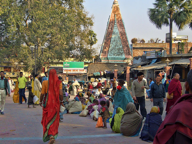 マハーボディ寺院そばの広場にずらりと並ぶ物乞いたち。<br /><br />この辺りの店が並ぶ一角に、宿を紹介してくれた男のみやげ物屋があり、前を通ると目ざとく私を見つけて声をかけてきました。<br /><br />今度は食事の店を教えてもらい、一緒に入ってビールを1杯おごってやりました。<br />40代くらいの男は私の食事の最中、目の前にずっと座っているので落ち着いて食べられやしない。<br /><br />マトンカレー(Rs50)、ライス(Rs10)、チャパティ(Rs10)、ビール大瓶(Rs100)。<br />マトンカレーは辛くて汗が吹き出たけど美味しかったです。<br /><br />このあとちょっとだけ男の土産物屋に立ち寄ったけど、もちろん何も買いません。