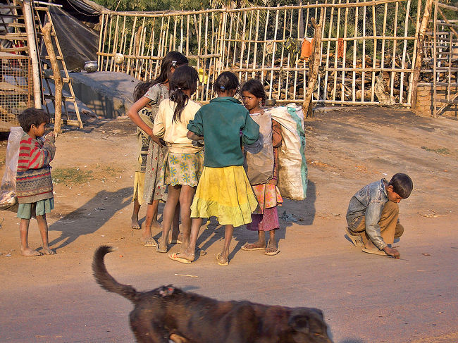 傷を負った犬と、道端会議中の埃まみれの子供たち。<br /><br />この犬に噛まれたら、即病院行きだな。