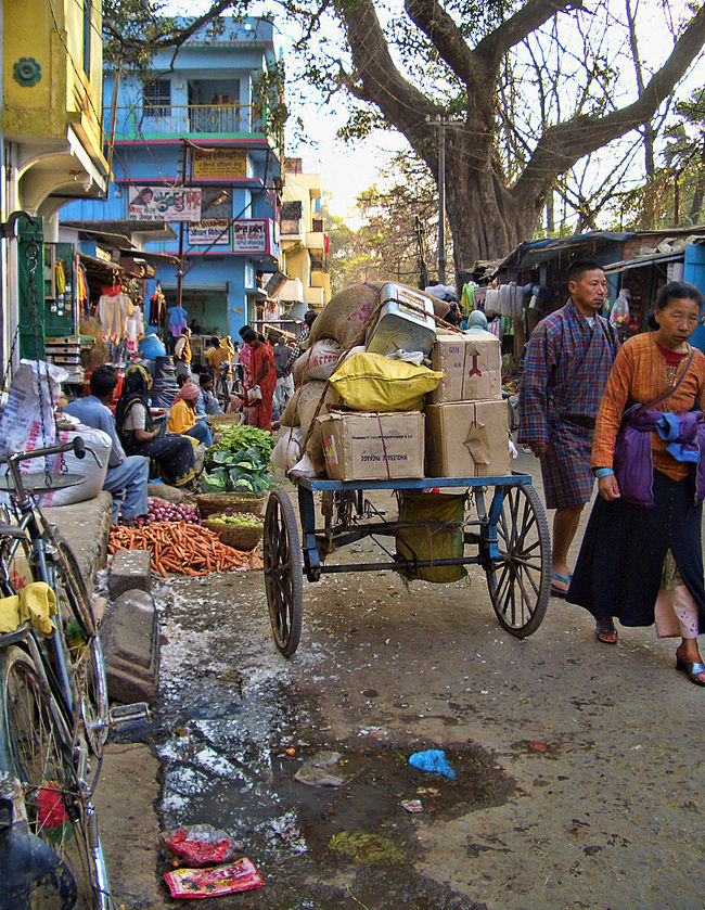 どこでもゴミ捨て場のインドでは、道端にゴミ屑が散乱しているのはありふれた日常の光景。