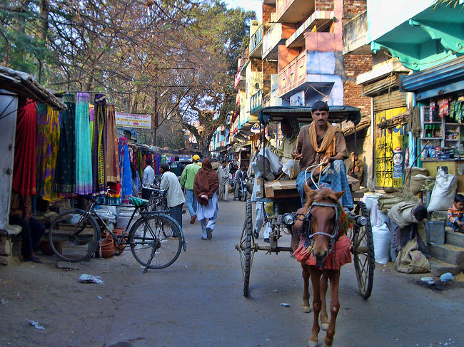 パカパカと蹄の音を響かせながら馬車が通る。