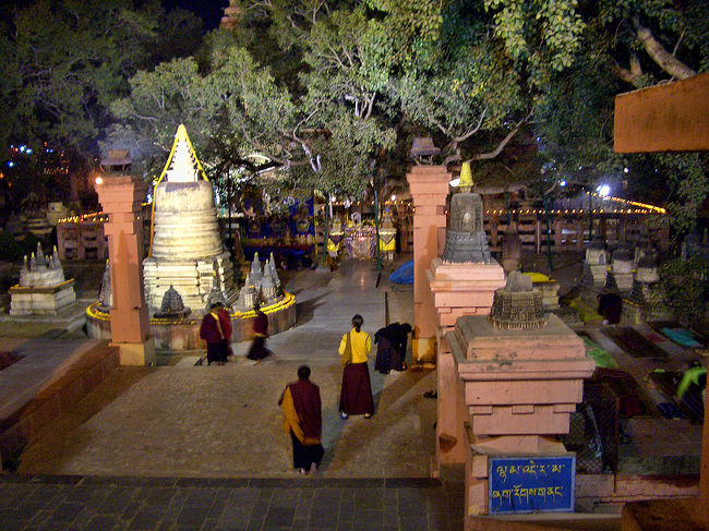 西の正面に、大きく枝を伸ばしたあの有名な菩提樹が見えます。