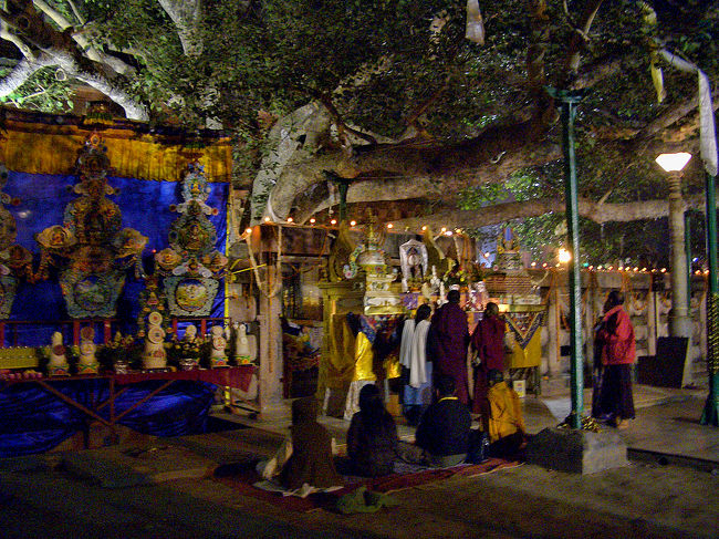 菩提樹の下で釈迦が座禅を組んだ場所は金剛玉座として祀られています。