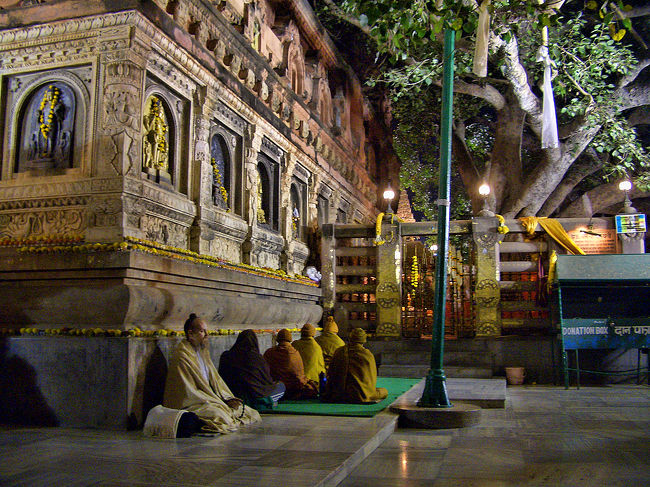 菩提樹のそばで瞑想する人たち。