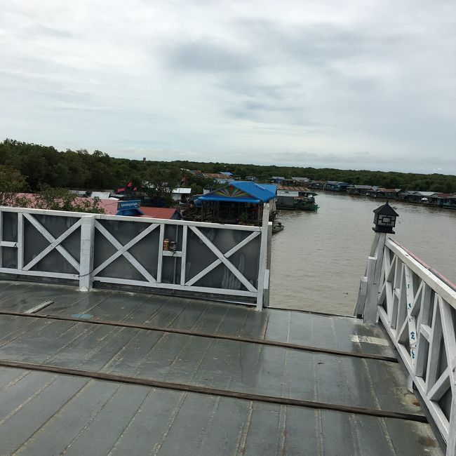 トンレサップ湖のマングローブの森と水上生活です。