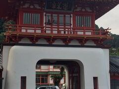 すぐ横にある桜門で写真を撮ったり見学したり・・・