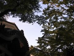 昨日は菊華荘の紅葉をチェック。
今朝は、富士屋ホテルの紅葉はどうか？ちょっと散歩♪