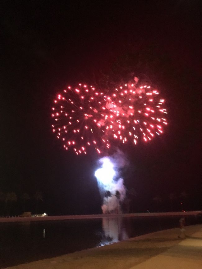 ラグーンから見る花火。<br /><br />近すぎて、花火の音が苦手なタロさんは耳を塞いで見ていました（笑）<br />でも、終わった後には「キレイだったねぇ」と。次回は耳を塞がずに楽しめるといいネ！<br /><br />花火の後は、またまた慌ただしく買い物へ。<br />ＤＦＳへ行き、お土産を物色した後はアラモアナへ移動。夕食を調達して部屋へ戻りました。<br /><br />部屋でササッと夕食を済ませて、タロさんは夢の中へ〜(( _ _ ))..zzzZZ<br />パパとママは眠い目をこすりながらパッキングを済ませました…<br /><br />つづく<br /><br />