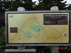 山頂駅を起点とした自然遊歩道（通称八甲田ゴードライン）を歩いてみる。