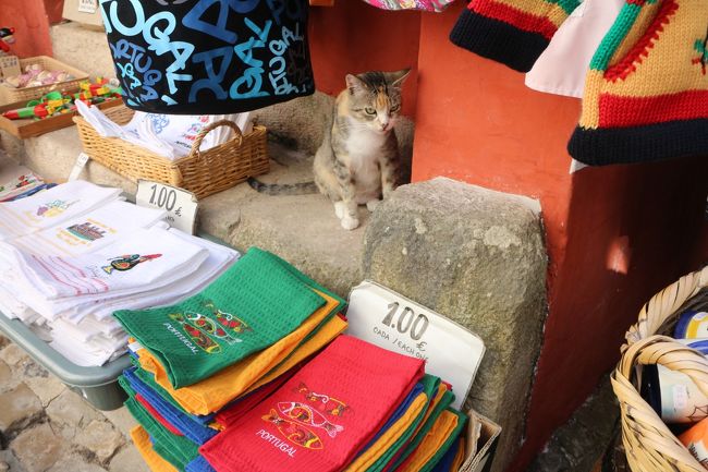 店番の猫。吸水性の無いようなフキンが売られていた。