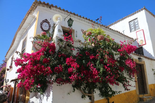 ブーゲンビリアが映えるなぁ～。ここは大人気撮影スポットとなっていた。皆カメラ片手にブラブラ散歩だ。