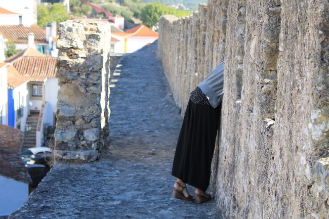 城壁の一部は片側しか壁がない。歩く人は少ないものの、壁がないのは結構怖い。それでもドブロブニクとは違って無料なので上がってみるべきだと思う。