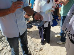 まずは星の砂の浜へ
星の砂の取り方レクチャー

昔は砂ごと持ち帰れたそうですが今は大勢の方が取りに来るので星の砂のみ、普通の砂は持ち帰り禁止です