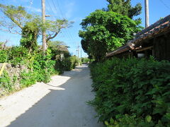 島の宿泊者でしょうか？私も自転車で回りたいなぁ
今でこそ竹富島は観光行で成り立ってるそうですが、ガイドさんの子供の頃は半農半酪だったそうです
水道もないので井戸まで汲みに行く毎日
日照りが続くと塩っぽい水になったそうです
今は水道は西表島、電気は石垣島から引いてるそうです
おじぃや、おばぁからすると天国のように思えるそうです
のんびりとした言い方で言われると、のんびりと聞こえて、なんだか良いですね