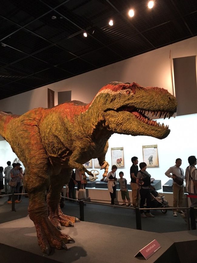 久しぶりの国内旅行。<br />4時間のロングドライブに備えて、<br />我が子、ＳＵＮ（二歳児）を今朝は少し早めに起こし、いざ出発～♪<br /><br />計画通り、少し寝不足気味なＳＵＮは、ドライブ中ほぼ爆睡～<br />