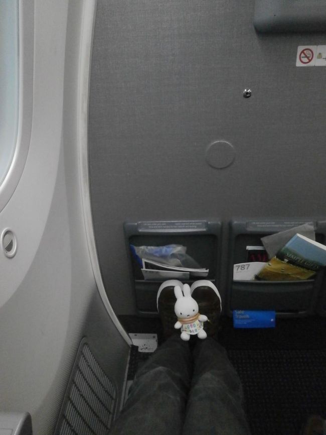 ムロたん あこがれのニューヨーカーになる その1 アメリカン航空メインキャビンエクストラに乗ってシカゴ経由でニューヨークへ ニューヨーク アメリカ の旅行記 ブログ By ムロろ んさん フォートラベル ムロたん あこがれのニューヨーカーになる その1 アメリカン航空メインキャビンエクストラに乗ってシカゴ経由でニューヨークへ ニューヨーク アメリカ の旅行記 ブログ By ムロろ んさん フォートラベル