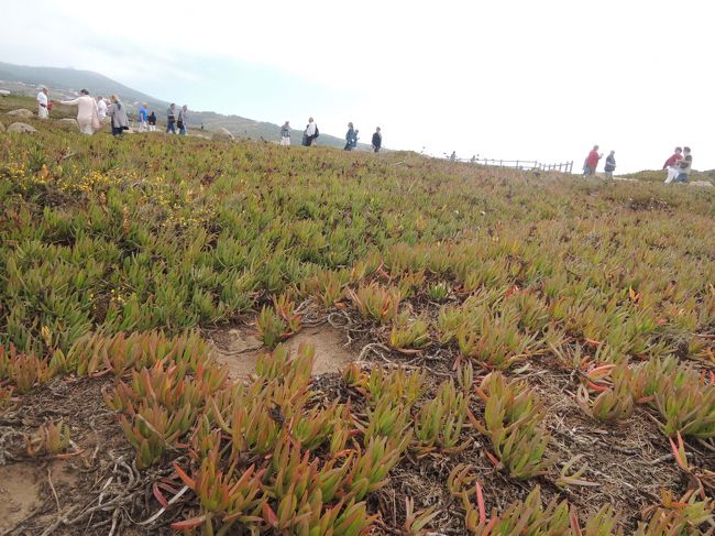 反対側は、寒々しく荒涼とした風景・・・。<br />強風が常に吹いているので、背の高い樹木は全くありません。