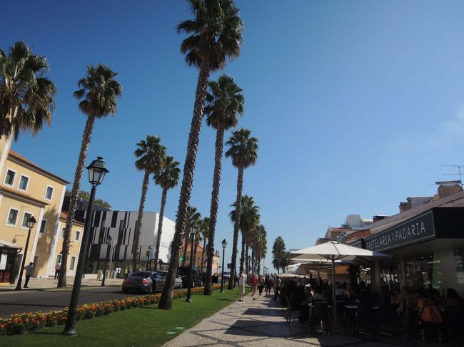 真っ青な空にヤシの木、リゾート地っぽい風景でしょ～！