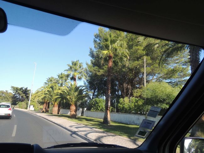 帰り道の風景です。<br /><br />往復、ず～っと一番前の助手席に母娘で座る事ができ、<br />景色が良く見えて、ラッキー！<br />でも、フリーウエイを走る時のドライバーのスピードが、恐っ！