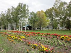 森林公園びふかアイランド