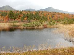 睡蓮沼。

八甲田の山々を見渡すことのできるスポットです。

天気も悪いのと、まだまだ行程があるので、ガンガン先に行きます。