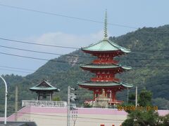 西光寺の誓願の塔が見える。

250年の樹齢の銀杏が有る。