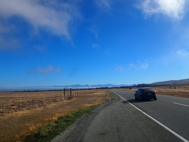 ただひたすら走る