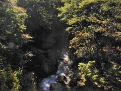 土合橋から湯桧曽川の下流方向を眺めます。清流ですね。