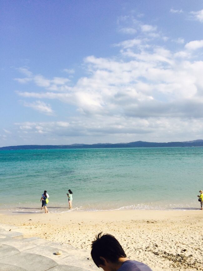 しばし古宇利ブルーを堪能<br />ビーチもキレイ！<br />この景色、プライスレス(*^ω^*)<br /><br />古宇利島のあとは一路美ら海水族館へ