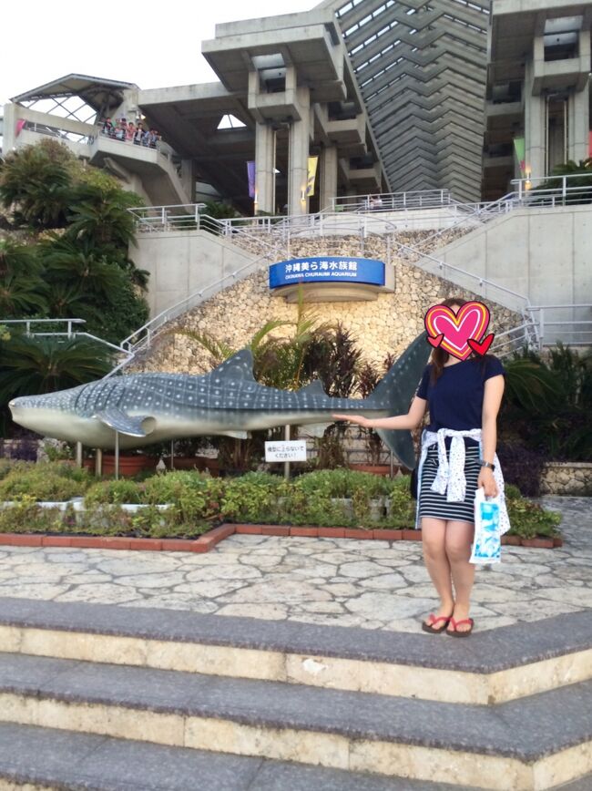 色々なお魚が見れて、すごい楽しかった！