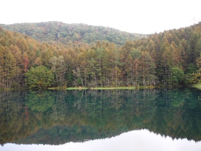 そして朝真っ白で何も見えなかった、御射鹿池に戻ってきたら、この通り！<br /><br />やった！