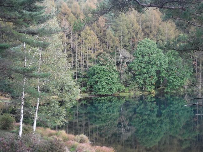 道路沿いにありイメージと違ったけど、やっぱりきれいでした。<br /><br />
