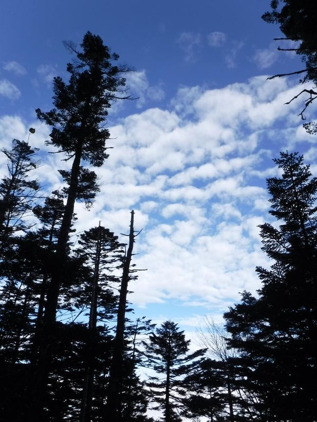 ほらほら、青空がきたよ～♪