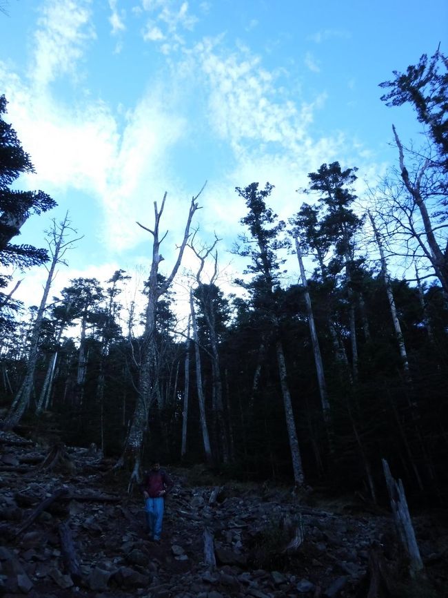 この登りが馬返しと思われる。