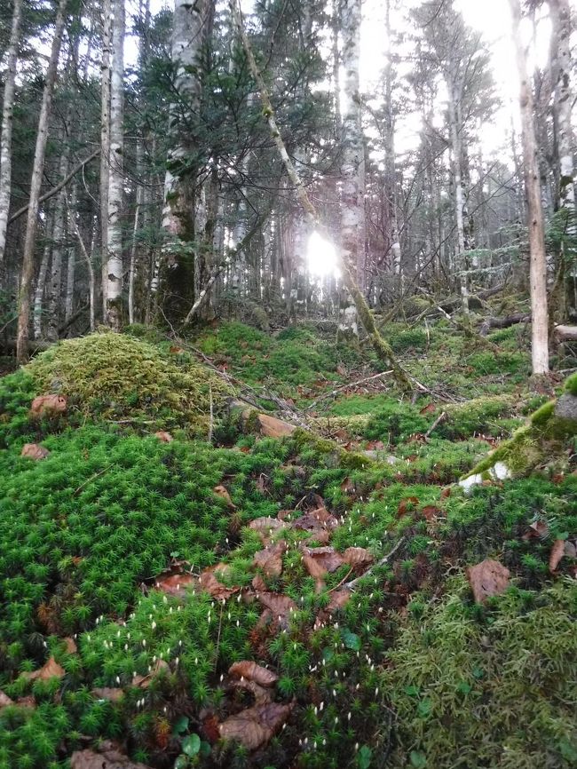 蓼科山荘で小休止。豚汁を頂く。