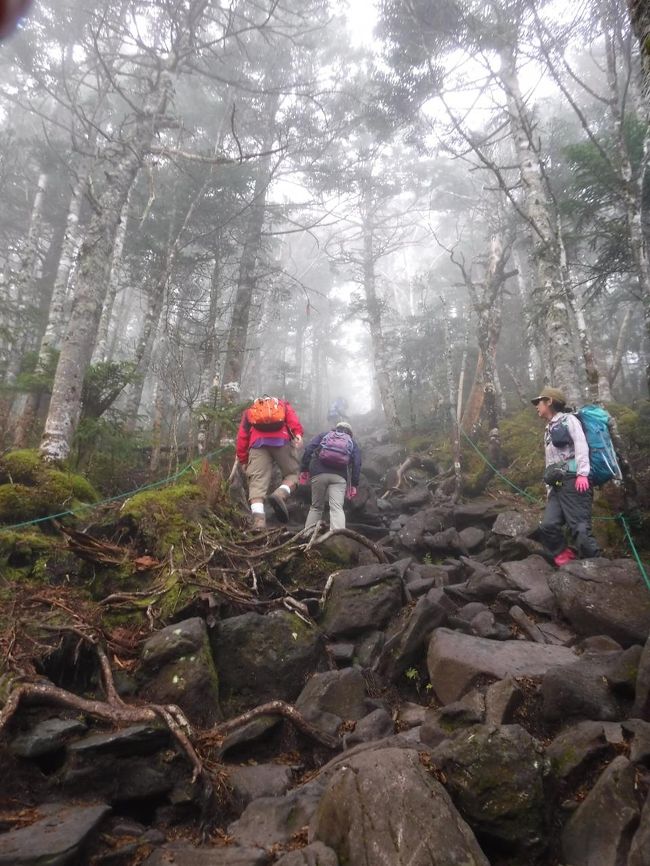 昨日の雨で濡れてるところ、要注意。