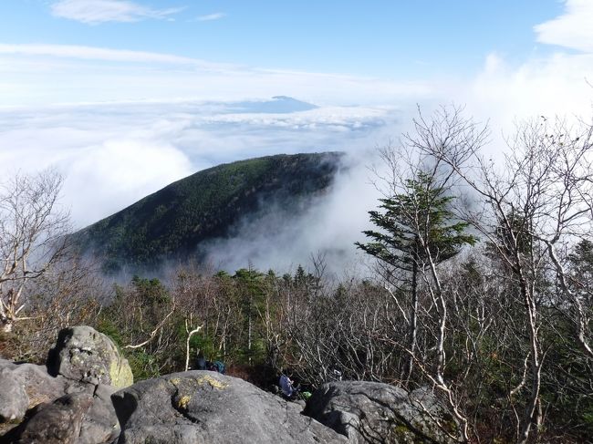 振り返ってうわーー！