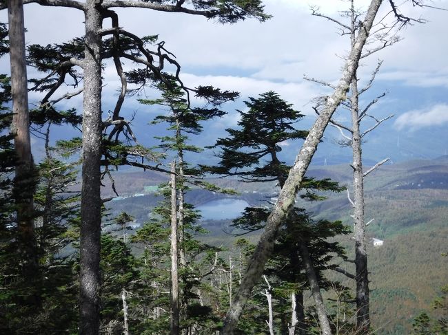 女神湖が見えた。