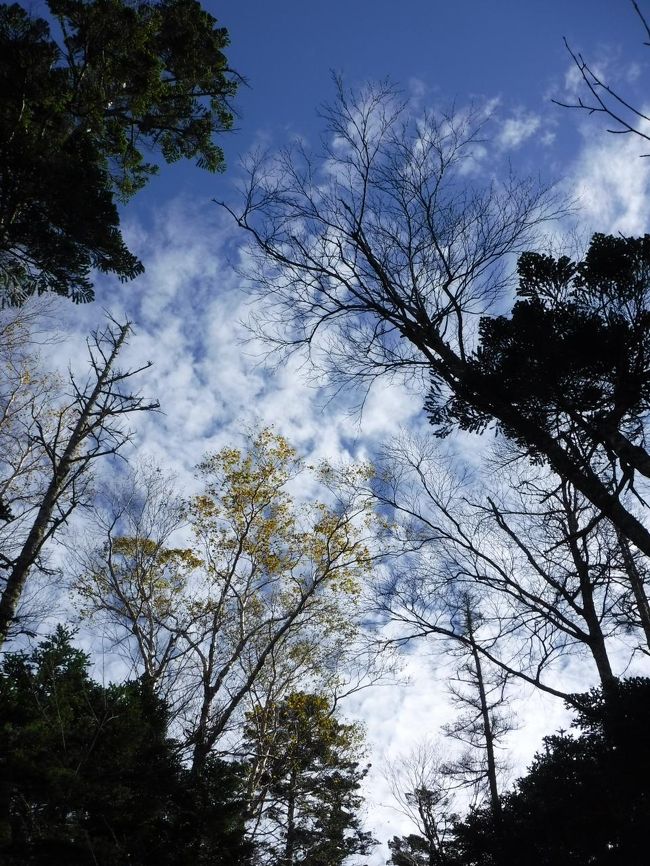気持ちのいい青空！<br />帰りもあっという間に下山。